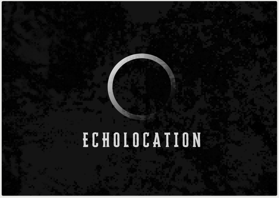 Echolocation